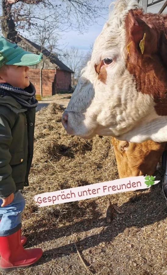 Hof Schumacher Kruzen Kültér fotó